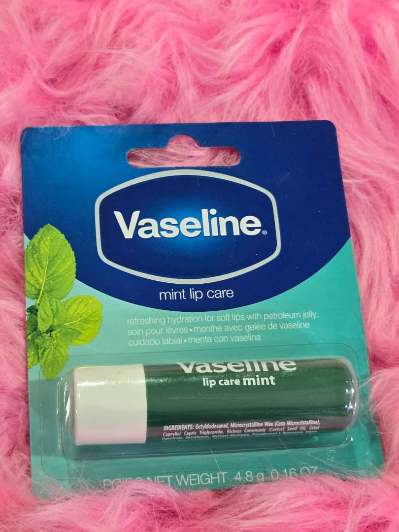 4.8g VASELINE Mint Lip Care